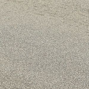 Meet your Posher, Jagger